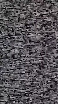    :.  ,                         ...