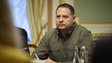      :      ,       ,       .  