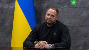     ,  The New York Post