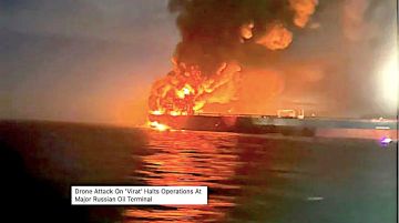 Александр Зимовский: Я тут связался с верным человеком, который Моби Дика без соли съел в морском праве