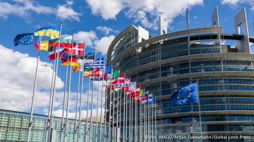 "  ":           -    ,  El Pais