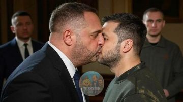 Владислав Шурыгин: Прощаясь, Ермак и Зеленский роняли друг другу на спины скупые мужские слёзы