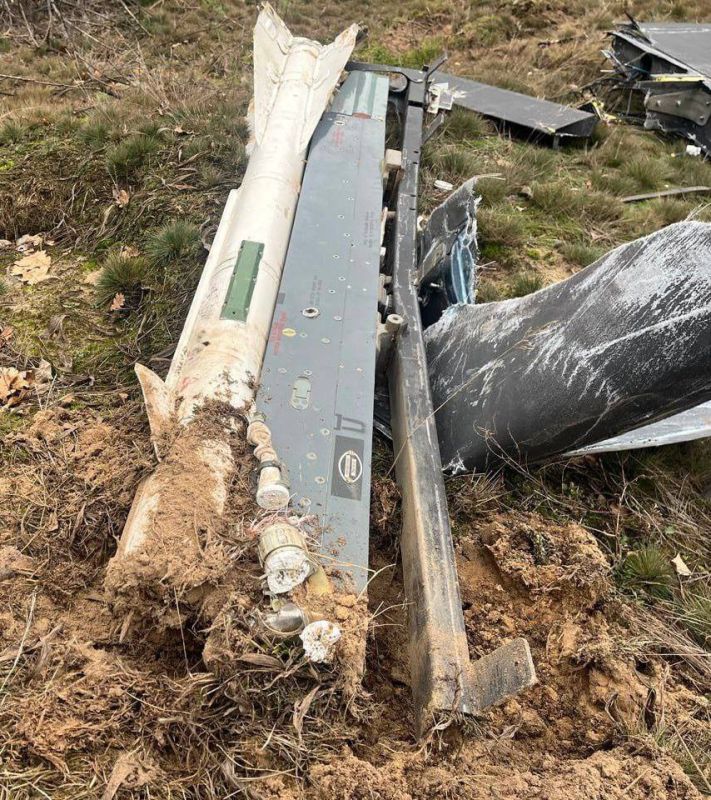 ��������� ���: ��� �������� ������� �������� �������-�����������