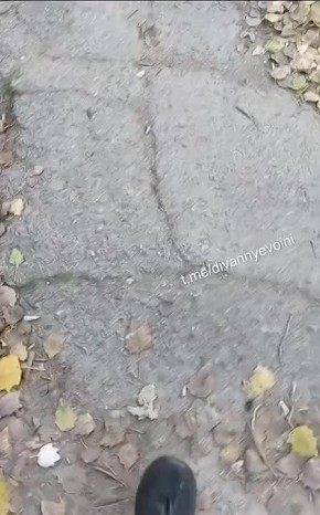       &quot;-&quot;     ,    Telegram-