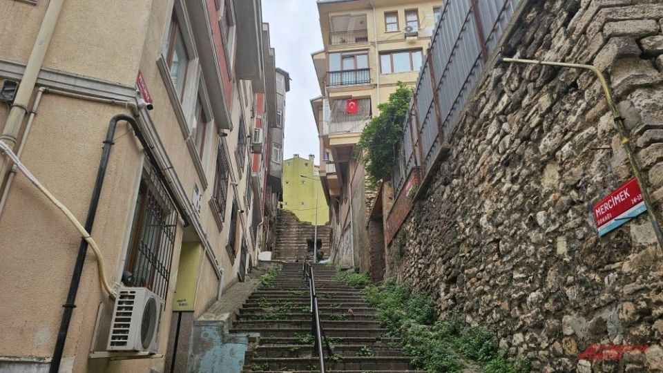 ��� ���� ����� ���� �������