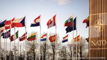            ,  The Wall Street Journal