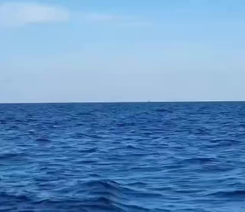 ��������� ���: ������ ���������� ���������� ������� ����