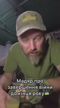  :   ,            ,  ,       ,   ...