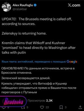 Встреча Зеленского и Уиткоффа в Брюсселе отменена