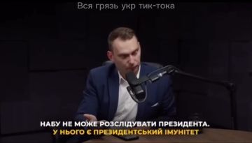 У Зеленского фактически есть иммунитет от расследований НАБУ, пока он занимает пост президента