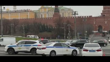  : , !.     YouTube-  live !