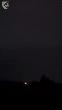    IRIS-T SLS      - -2     -101           