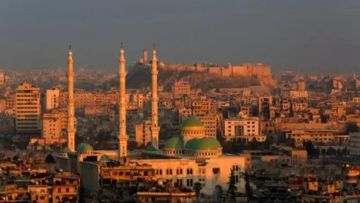 Граждане Сирии чаще других иностранцев просили временное убежище в России