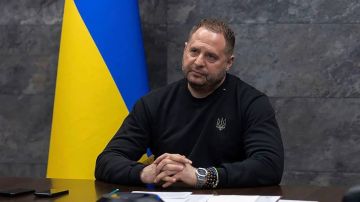 Зеленский вывел Ермака из состава Совета национальной безопасности и обороны Украины и ставки верховного главнокомандующего