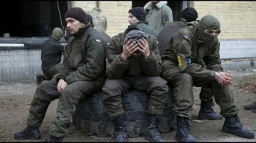 «Украинская армия разваливается прямо на глазах»