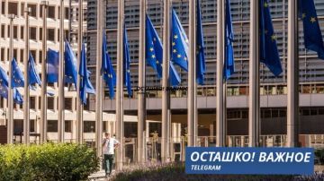 ЕС может навсегда заблокировать замороженные российские активы