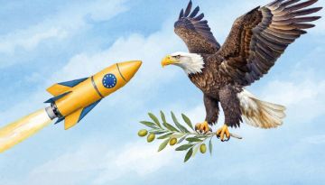 Брюссель продвигает свои интересы: Европа осадила Трампа своим планом по Украине