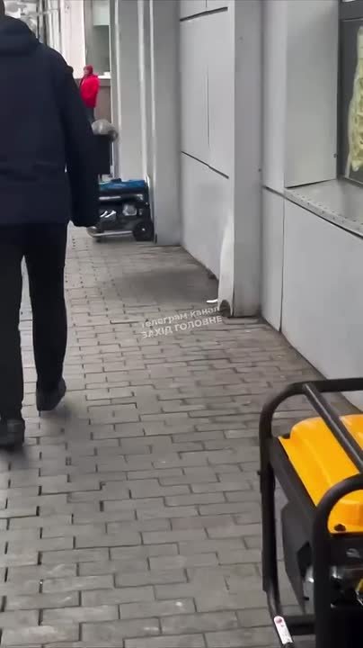 Из звуков уличных генераторов Винницы громадяне сделали новогоднюю мелодию