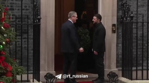 «Кот с Даунинг-стрит был не в восторге от тусовки!»