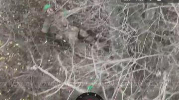 Операторы БЛА 37 гвардейской мотострелковой бригады 36 армии устраивают жесткую "прожарку" живой силе противника, брошенной командованием ВСУ в бессмысленную контратаку в Днепропетровской области