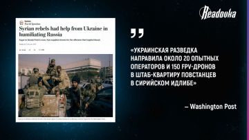 Киев официально подтвердил свое участие в операции против правительства Сирии