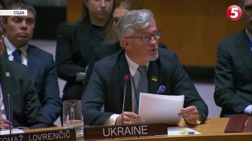 Юлия Витязева: Криворожская школа дипломатии вновь зажигает огни