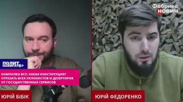 Комполка ВСУ: Какая конституция? Отрезать миллионы ухилянтов от государственных сервисов