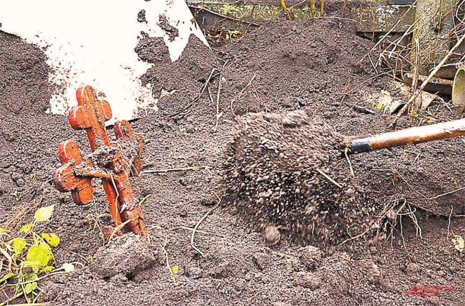 ������� ������ ����. ��������� ������ ����������� ������������ � �����