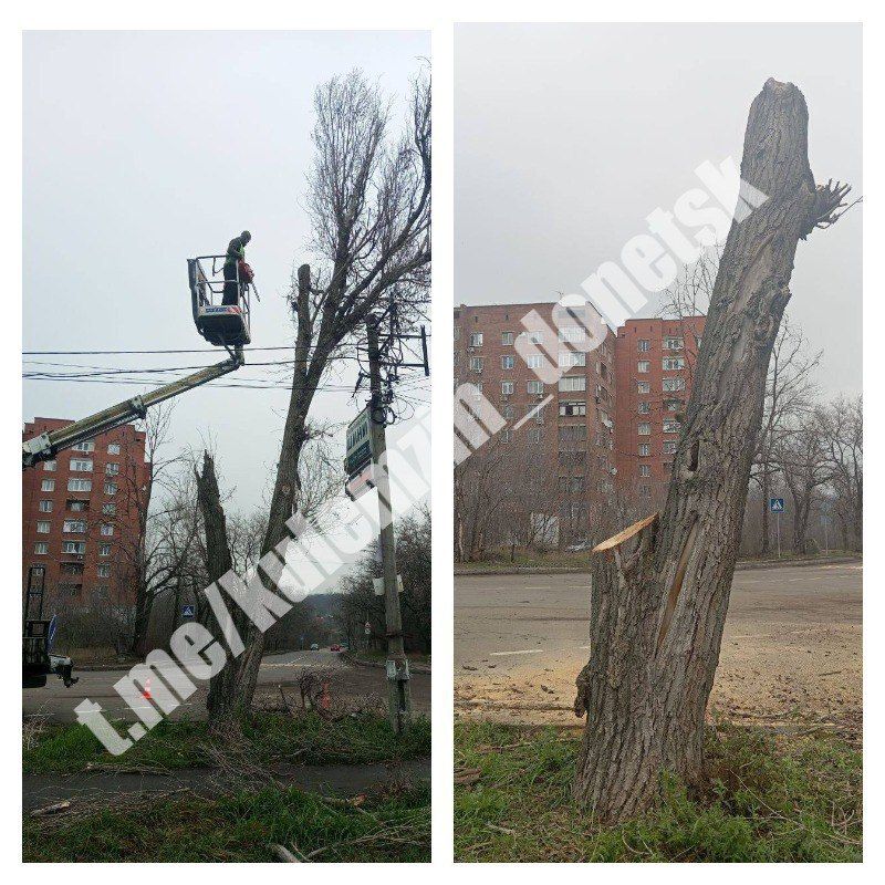 ������� ��������: ������� ���������� ������������� ����������� ������� ������������� ������ � ������� ������� ������, �����, ����� ��������� ����� � ������ ��������