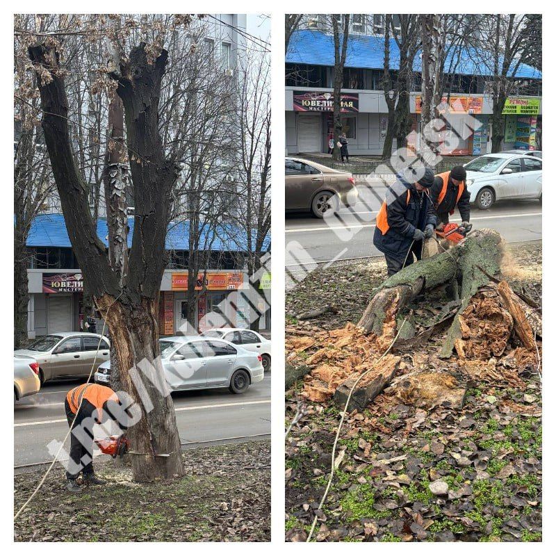 ������� ��������: ������� ���������� ������������� ����������� ������� ������������� ������ � ������� ������� ������, �����, ����� ��������� ����� � ������ ��������