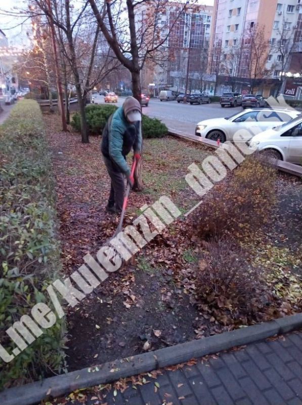 ������� ��������: ������� ���������� ������������� ����������� ������� ������������� ������ � ������� ������� ������, �����, ����� ��������� ����� � ������ ��������