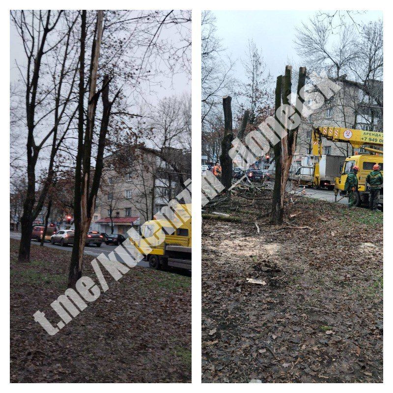 ������� ��������: ������� ���������� ������������� ����������� ������� ������������� ������ � ������� ������� ������, �����, ����� ��������� ����� � ������ ��������