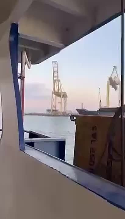 � ����� �. ���������, �������� ������� ������ "������" ���������� �������� �����