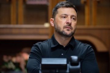 В США заявили, что Зеленский хочет затянуть конфликт, говоря о референдуме