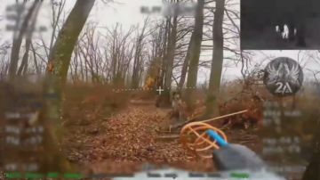 Зиганул и в последний путь