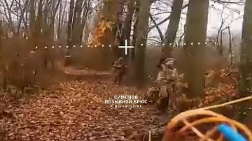 «Нацизма на Украине нет». Видимо это животное думало, что дрон союзный