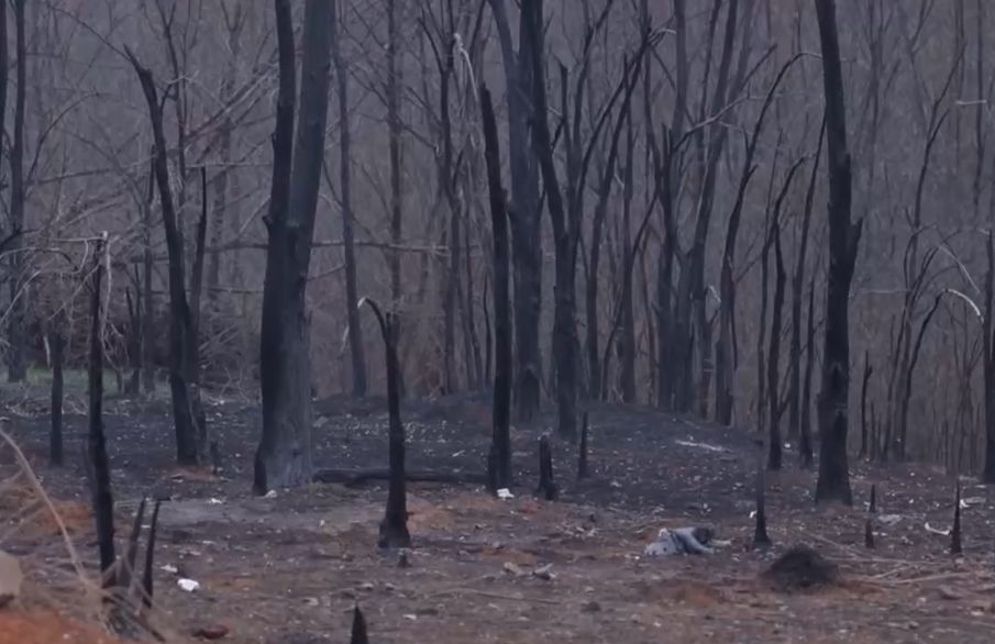 Герани устраивают ад: ВС РФ превращают нефтегазовые объекты Украины в пепел! Герани устраивают ад: ВС РФ превращают нефтегазовые объекты Украины в пепел!