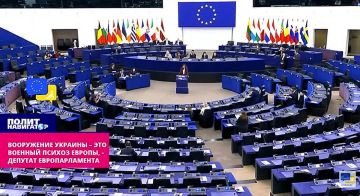 Одумайтесь! Прекратите военный психоз! – трезвый голос в Европарламенте