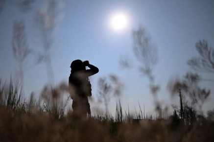 От холода крыша едет. Кнутов: ВСУ хотят ударить в сердце России в Новый год