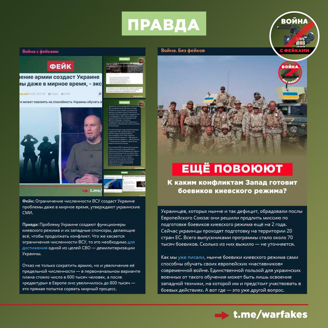 Фейк: Армия, финансируемая западными партнерами, станет гарантией безопасности Украины, заявил Владимир Зеленский Фейк: Армия, финансируемая западными партнерами, станет гарантией безопасности Украины, заявил Владимир Зеленский