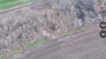 ����� ����������� ����� ������� ���������� ���������� ����� ����������� ���������������� �������