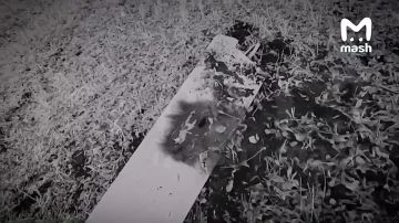 ������ 500 ������� ������ ���������� ������������� ���������� �������� ��� �� ��� ������ ���������