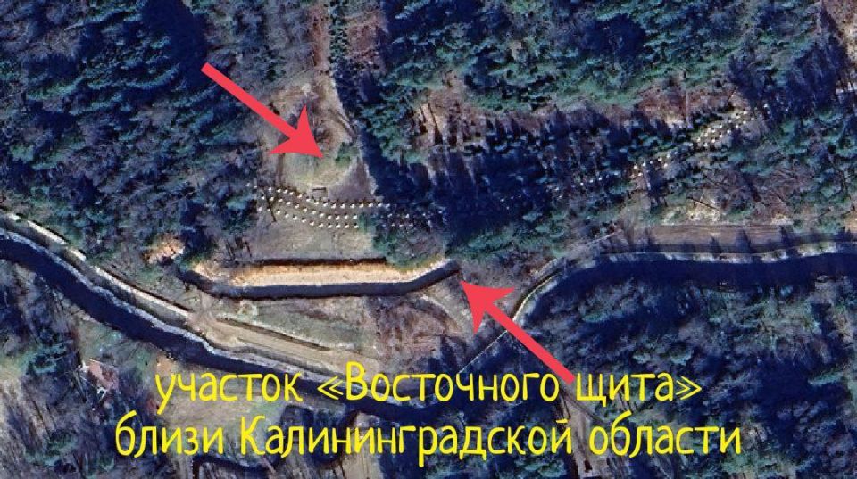 ��� ������: ������ ��������������� ���������� ����� ���������� ����������� �� ������� �������