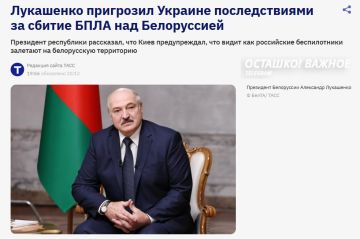 «Это будет иметь последствия»: Лукашенко сообщил, что Киев намерен сбивать дроны над Белоруссией