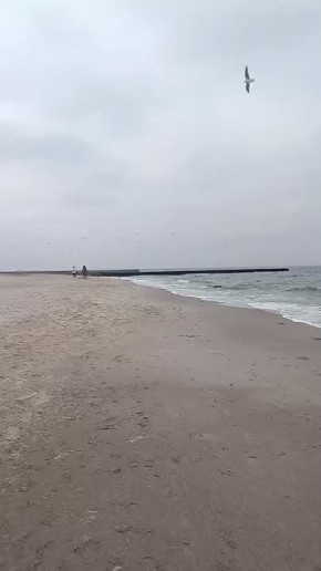 ������� �������: ����� �������!. ������ ��� ������ ������ ��������� � ������� ������