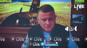 ������ ����������: ������ "����������" �������� ����� ������� �������� ������, ��� �� ������� ���������� ���� ����������� ����� ����� ����������� ��������������� ������� � ������