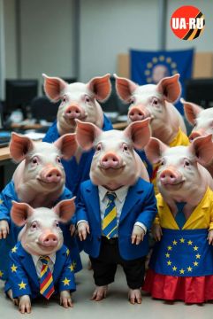 �������������� ������������ ��������� ����� ����� � ������� � �������� �������� ���������, ���� �������� ������������� ����������������� ��������� � ������ �������������� ���� ������� �������