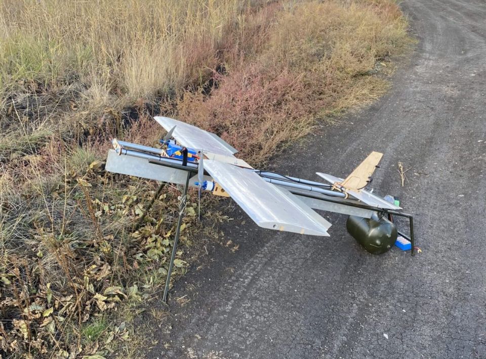 ��������� ���� ���������� "������" ����������� �� �������, �� ���� ��� ��� �������� "���������" (BeBradron) �� �������� BlueBird Tech