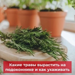 ������ ������ ����� � �� ������ ���������� �������, � ��������� ������ ������� ����� ��������� � ��������