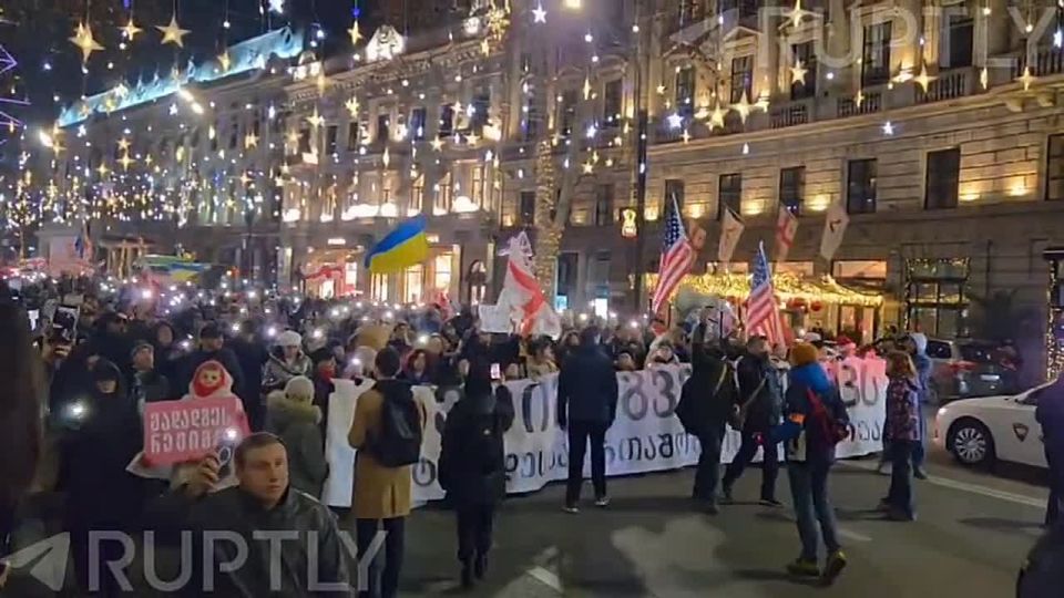 Печеньки Виктории Нуланд добрались до Грузии: в Тбилиси прошел оппозиционный марш — и снова под флагами США, Украины и ЕС (!)